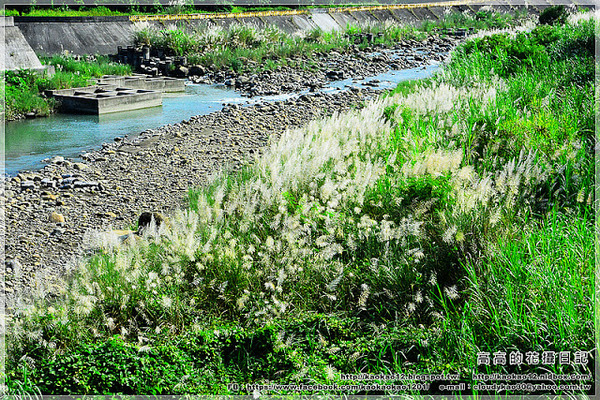 竹崎火車站：【嘉義】竹崎鄉。竹崎車站 ＆ 竹崎鐵橋 ＆ 竹崎親水公園