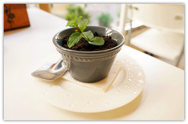 哪兒呀:馬公♬在地人才知道的平價限量下午茶、雪片冰 哪兒呀