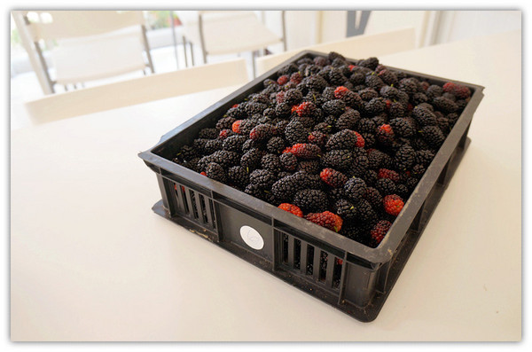 哪兒呀:馬公♬在地人才知道的平價限量下午茶、雪片冰 哪兒呀