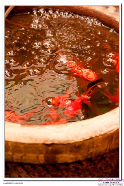 喀佈貍-大眾和風洋食居酒屋(一店):【美食♥台北大安區】☼ 喀佈貍居酒屋 ☼ 日式風格居酒屋,和風洋食兼具創意又美味♥♥