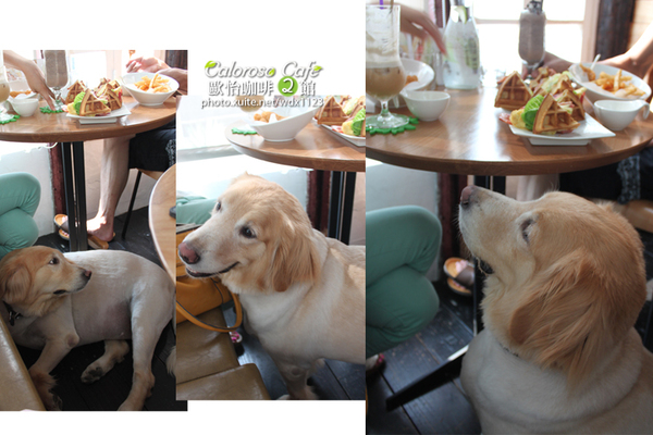 Caloroso Cafe - 歐怡咖啡二館：✪歐怡咖啡二館✪下午茶102/08/03＆午餐102/08/04~偶像劇「親愛的，我愛上別人了」場景拍拍走