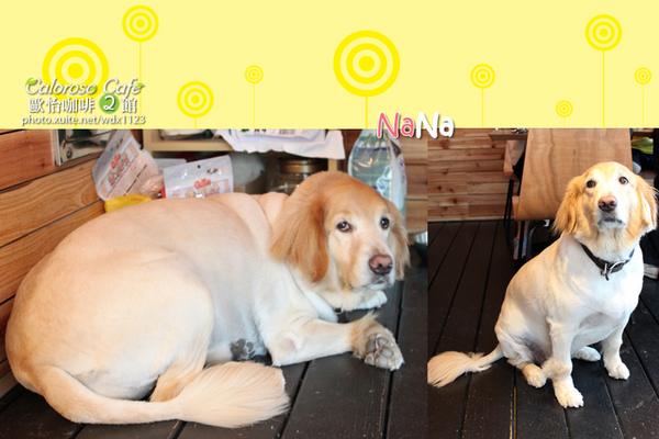 Caloroso Cafe - 歐怡咖啡二館：✪歐怡咖啡二館✪下午茶102/08/03＆午餐102/08/04~偶像劇「親愛的，我愛上別人了」場景拍拍走