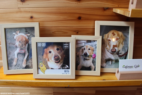 Caloroso Cafe - 歐怡咖啡二館:歐怡咖啡二館~焗烤好水@@~103.06.23