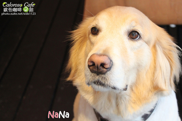 Caloroso Cafe - 歐怡咖啡二館：✪歐怡咖啡二館✪下午茶102/08/03＆午餐102/08/04~偶像劇「親愛的，我愛上別人了」場景拍拍走