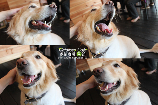 Caloroso Cafe - 歐怡咖啡二館：✪歐怡咖啡二館✪下午茶102/08/03＆午餐102/08/04~偶像劇「親愛的，我愛上別人了」場景拍拍走