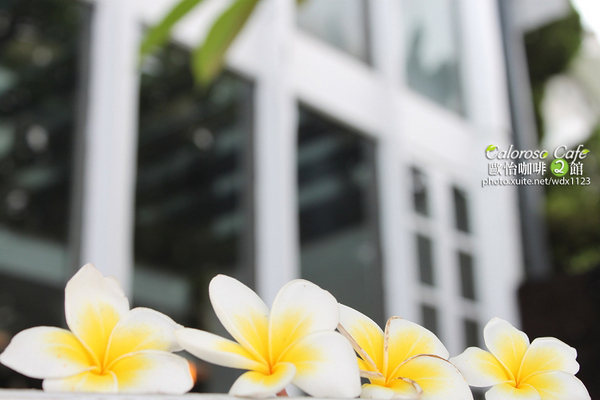 Caloroso Cafe - 歐怡咖啡二館：✪歐怡咖啡二館✪早餐~102.08.07~偶像劇「親愛的，我愛上別人了」場景拍拍走