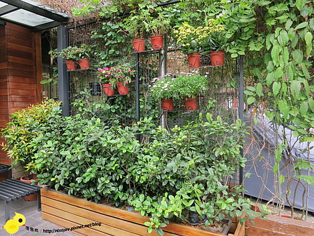 「窩客島體驗文」捷運忠孝敦化周邊餐廳-Eat Eat Bistro-溫馨典雅的義式餐廳