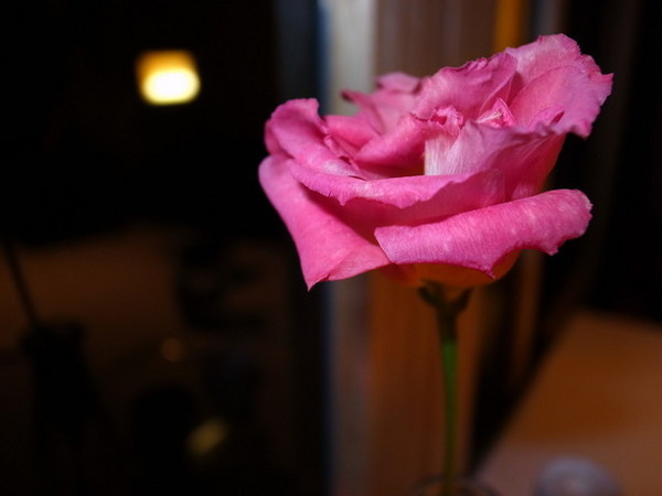 安佐法國餐廳：＜桃園美食＞安佐法國餐廳＊浪漫饗宴～西班牙伊比利豬排＊法國布列塔尼小春羊