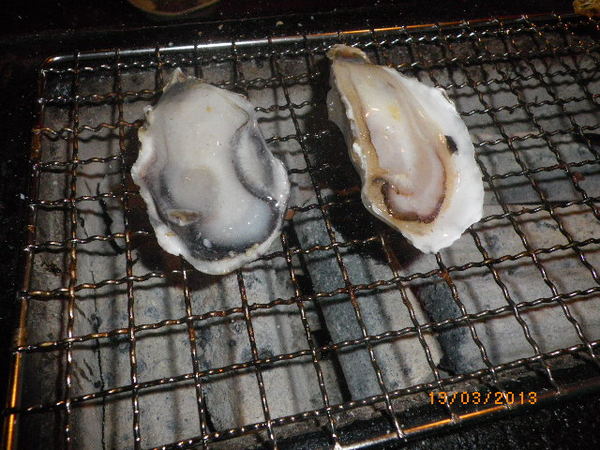 鑽木取火日式燒肉(新莊泰林店):鑽木取火日式燒肉˙新品吃到飽