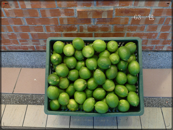 清玉人文茶飲(大直店)：好喝的黃金比例-招牌翡翠檸檬茶「清玉人文茶飲大直店」