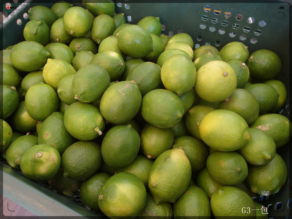 茶湯會(內湖店)：春水堂技術指導之飲品專賣店「茶湯會／台北內湖店」