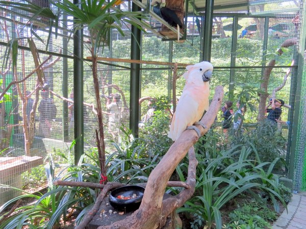 森林鳥花園：這裡～除了賞鳥還是歡樂的小森林【新竹/森林鳥花園】