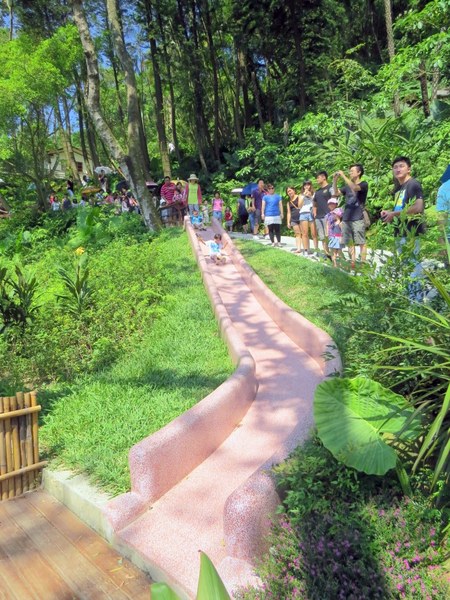 森林鳥花園：這裡～除了賞鳥還是歡樂的小森林【新竹/森林鳥花園】