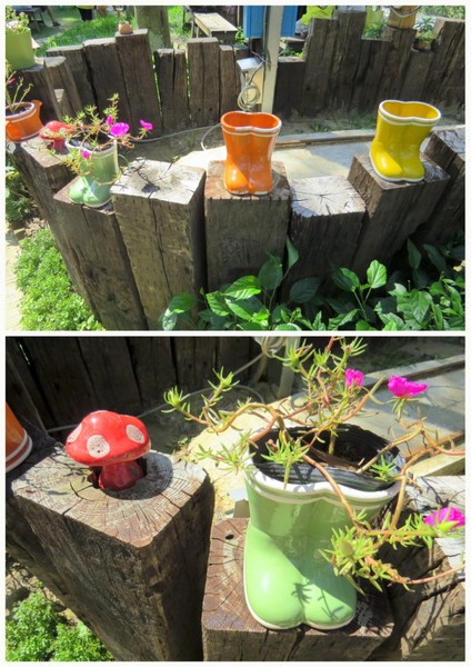 森林鳥花園：這裡～除了賞鳥還是歡樂的小森林【新竹/森林鳥花園】