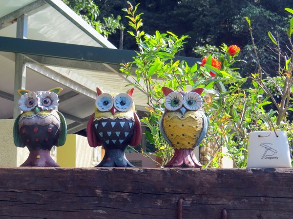 森林鳥花園：這裡～除了賞鳥還是歡樂的小森林【新竹/森林鳥花園】