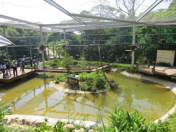 森林鳥花園：這裡～除了賞鳥還是歡樂的小森林【新竹/森林鳥花園】