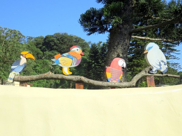 森林鳥花園：這裡～除了賞鳥還是歡樂的小森林【新竹/森林鳥花園】