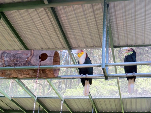 森林鳥花園：這裡～除了賞鳥還是歡樂的小森林【新竹/森林鳥花園】