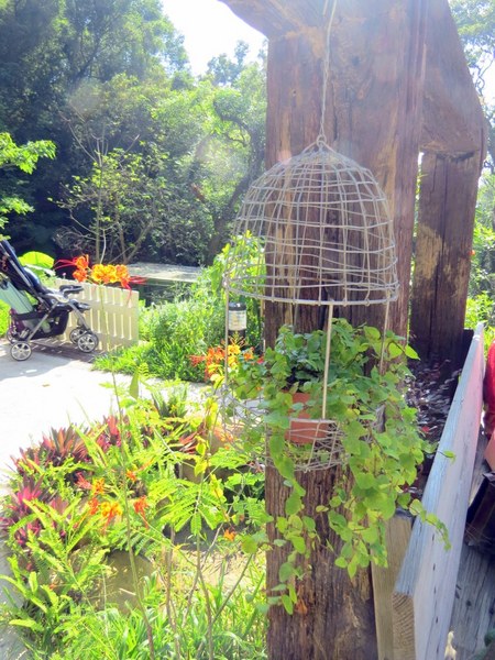 森林鳥花園：這裡～除了賞鳥還是歡樂的小森林【新竹/森林鳥花園】