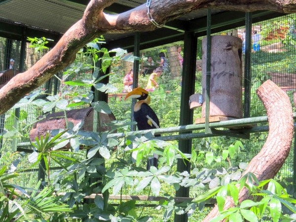 森林鳥花園：這裡～除了賞鳥還是歡樂的小森林【新竹/森林鳥花園】