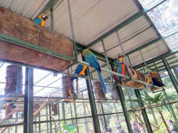 森林鳥花園：這裡～除了賞鳥還是歡樂的小森林【新竹/森林鳥花園】