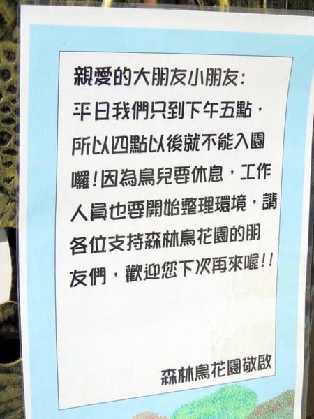 森林鳥花園：這裡～除了賞鳥還是歡樂的小森林【新竹/森林鳥花園】