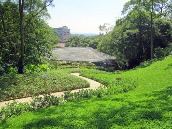 森林鳥花園：這裡～除了賞鳥還是歡樂的小森林【新竹/森林鳥花園】