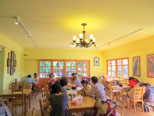 森林鳥花園：這裡～除了賞鳥還是歡樂的小森林【新竹/森林鳥花園】