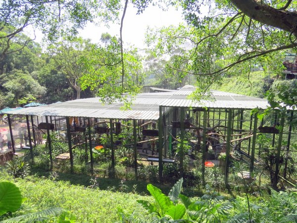 森林鳥花園：這裡～除了賞鳥還是歡樂的小森林【新竹/森林鳥花園】