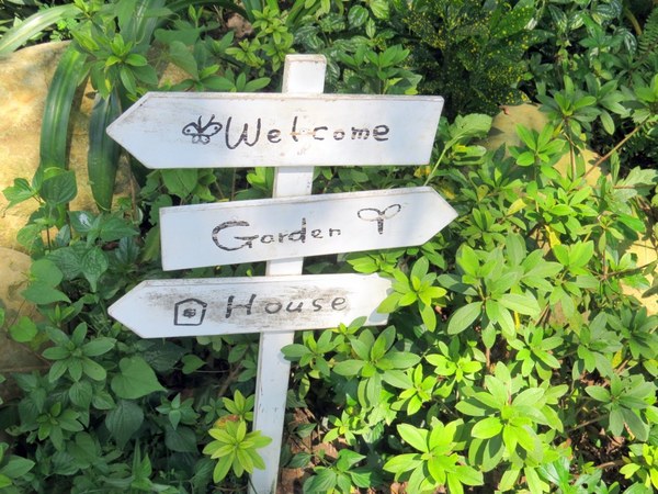 森林鳥花園：這裡～除了賞鳥還是歡樂的小森林【新竹/森林鳥花園】