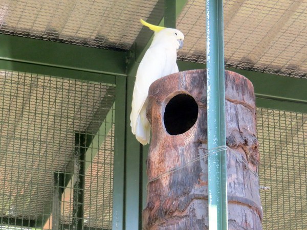 森林鳥花園：這裡～除了賞鳥還是歡樂的小森林【新竹/森林鳥花園】