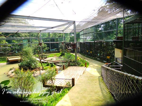 2014-5-30森林鳥花園_大娘 (22).jpg