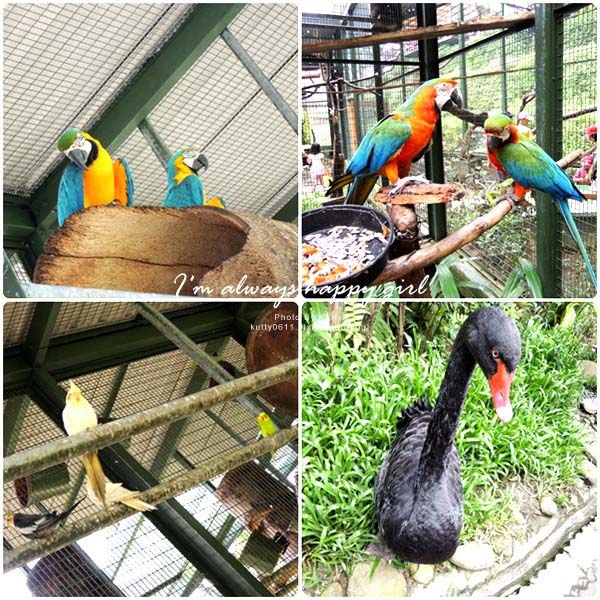 2014-5-30森林鳥花園_大娘 (9).jpg