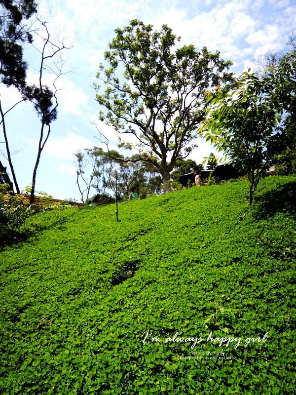 2014-5-30森林鳥花園_大娘 (17).jpg