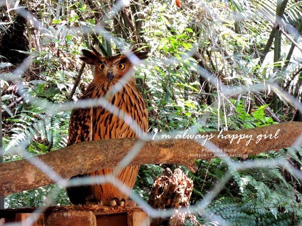 2014-5-30森林鳥花園_大娘 (21).jpg