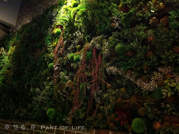 照片-13_5_27-14.08.39-24