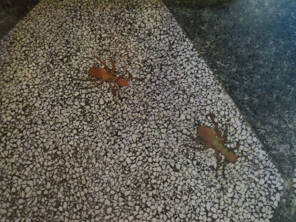 台中市第四信用合作社　：來金庫不領錢來領冰【台中/第四信用合作社】