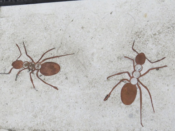 台中市第四信用合作社　：來金庫不領錢來領冰【台中/第四信用合作社】