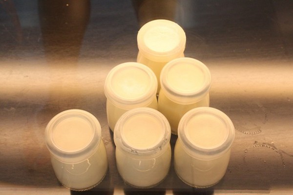 卡諾帝KALODI咖啡館：體驗【卡諾帝KALODI咖啡館 】療癒系超夯『盆栽飲品』+『比利時鬆餅』+『招牌經典咖啡』