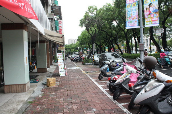 卡諾帝KALODI咖啡館：體驗【卡諾帝KALODI咖啡館 】療癒系超夯『盆栽飲品』+『比利時鬆餅』+『招牌經典咖啡』