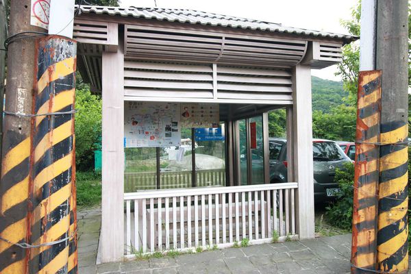 【台北旅遊】陽明山繡球花季-滿坑滿谷的繡球捧花-2015年05月花況