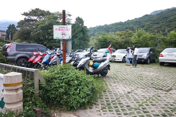 【台北旅遊】陽明山繡球花季-滿坑滿谷的繡球捧花-2015年05月花況