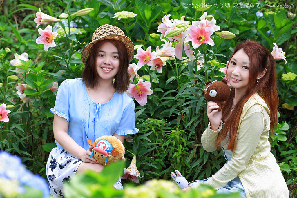 2016.05.15~台北陽明山竹子湖高家繡球花