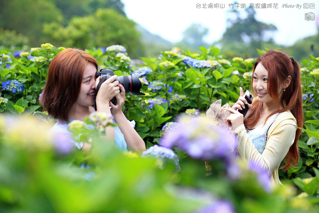 2016.05.15~台北陽明山竹子湖高家繡球花