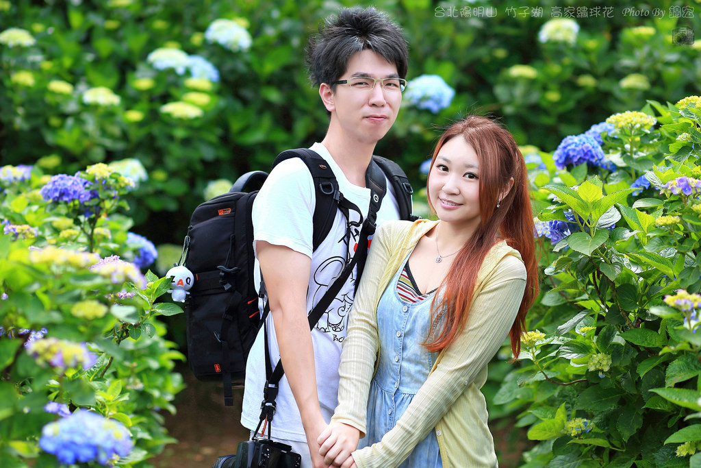 2016.05.15~台北陽明山竹子湖高家繡球花