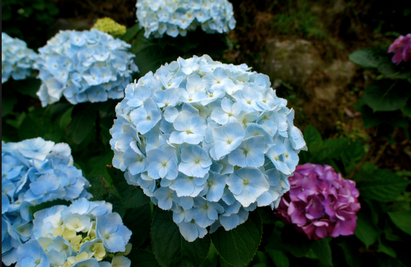 螢幕快照 2015-05-19 下午7.34.43