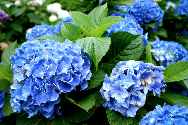 螢幕快照 2015-05-19 下午7.34.01