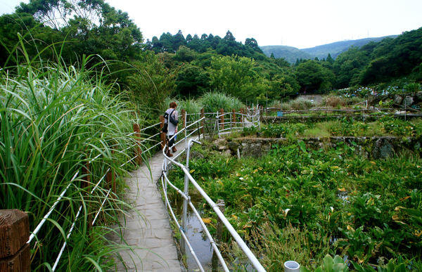 螢幕快照 2015-05-19 下午7.28.30