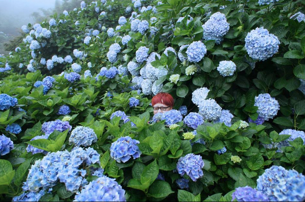 螢幕快照 2015-05-19 下午7.36.51