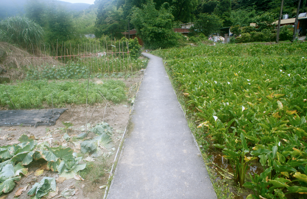 螢幕快照 2015-05-19 下午7.00.01